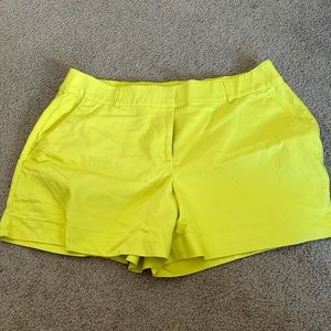 Lane Bryant shorts